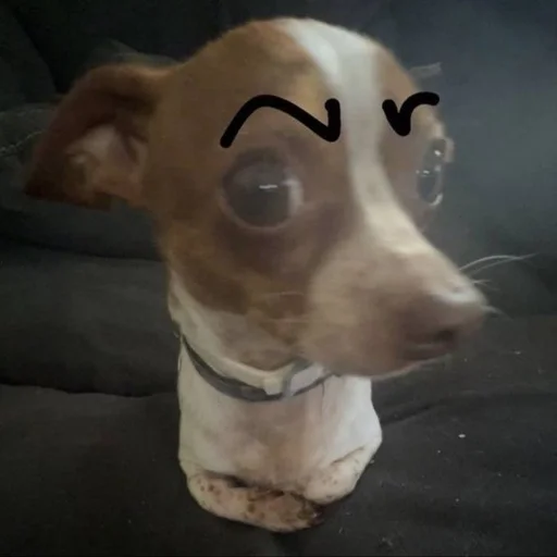 🐶 Стикер «puppy dogs» для Telegram