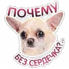 Стикер 16 😈 Набор эмоджи с Пёсиками из ВК