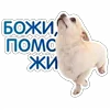 Стикер 34 😈 Набор эмоджи с Пёсиками из ВК