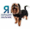 Стикер 15 😈 Набор эмоджи с Пёсиками из ВК
