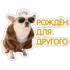 Стикер 13 😈 Набор эмоджи с Пёсиками из ВК