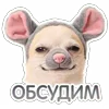 Стикер 35 😈 Набор эмоджи с Пёсиками из ВК