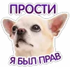 Стикер 4 😈 Набор эмоджи с Пёсиками из ВК