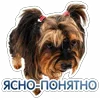 Стикер 17 😈 Набор эмоджи с Пёсиками из ВК