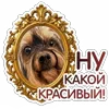 Стикер 8 😈 Набор эмоджи с Пёсиками из ВК