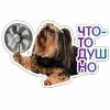 Стикер 36 😈 Набор эмоджи с Пёсиками из ВК