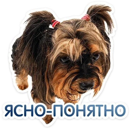 😤 Стикер «Песики» для Telegram
