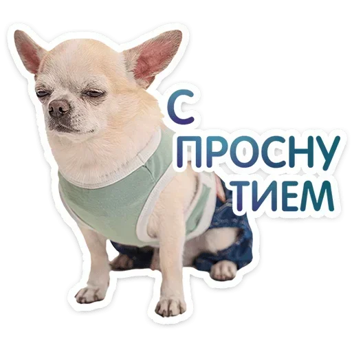 🥱 Стикер «Песики» для Telegram