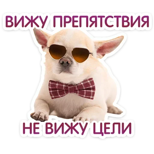 😎 Стикер «Песики» для Telegram