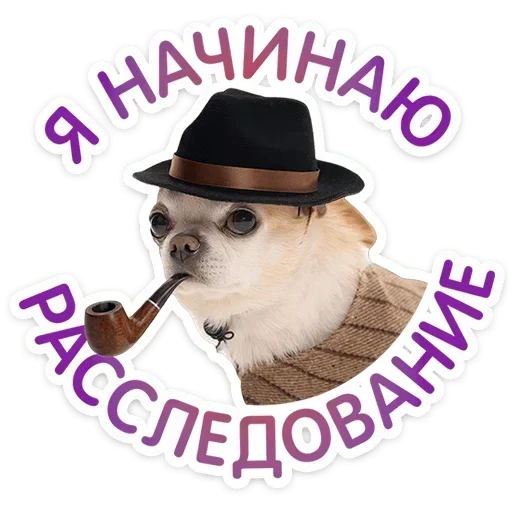 🥸 Стикер «Песики» для Telegram