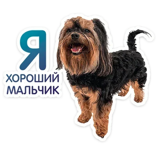 😊 Стикер «Песики» для Telegram