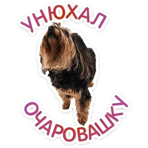 🙂 Стикер «Песики» для Telegram