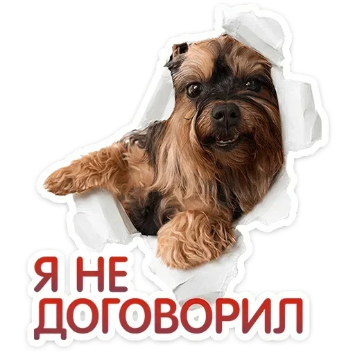 🙂 Стикер «Песики» для Telegram
