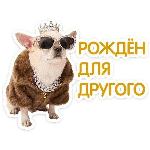 😎 Стикер «Песики» для Telegram