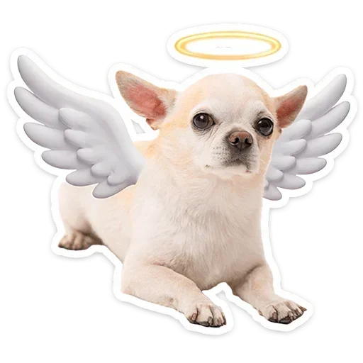👼 Стикер «Песики» для Telegram