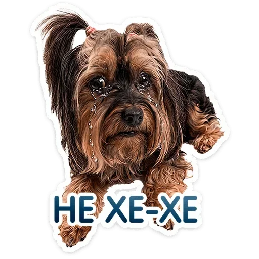 😢 Стикер «Песики» для Telegram