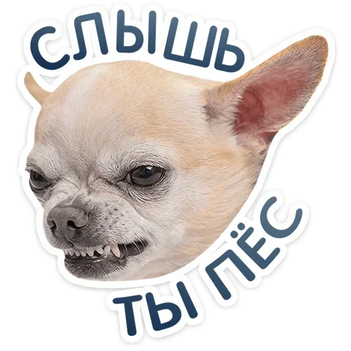 😡 Стикер «Песики» для Telegram
