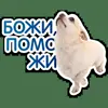 🙏 Эмодзи «кoтяткu» для Telegram