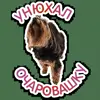 🙂 Эмодзи «кoтяткu» для Telegram