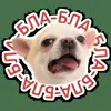 Стикерпак кoтяткu для Telegram