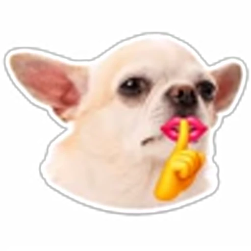 🤫 Эмодзи «кoтяткu» для Telegram