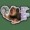 🥵 Эмодзи «кoтяткu» для Telegram