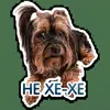 😢 Эмодзи «кoтяткu» для Telegram