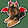 😈 Эмодзи «кoтяткu» для Telegram
