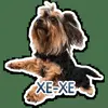 😈 Эмодзи «кoтяткu» для Telegram