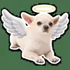 👼 Эмодзи «кoтяткu» для Telegram
