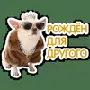 😎 Эмодзи «кoтяткu» для Telegram
