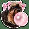 🎀 Эмодзи «кoтяткu» для Telegram