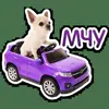 🚗 Эмодзи «кoтяткu» для Telegram