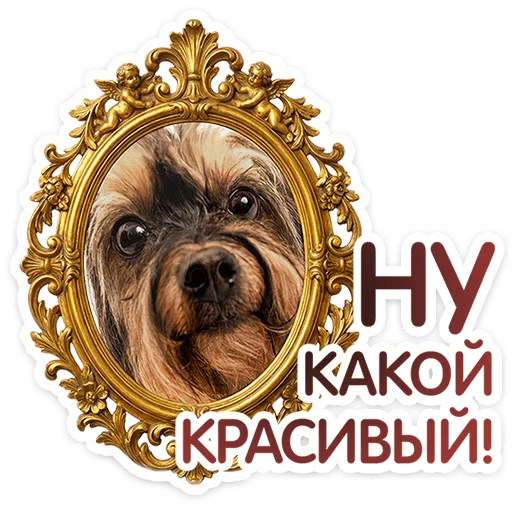 ⭐ Стикер «Пёсики» для Telegram