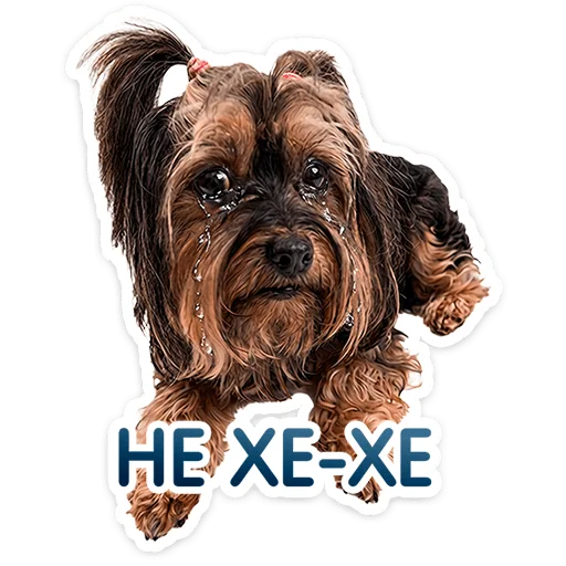 ⭐ Стикер «Пёсики» для Telegram