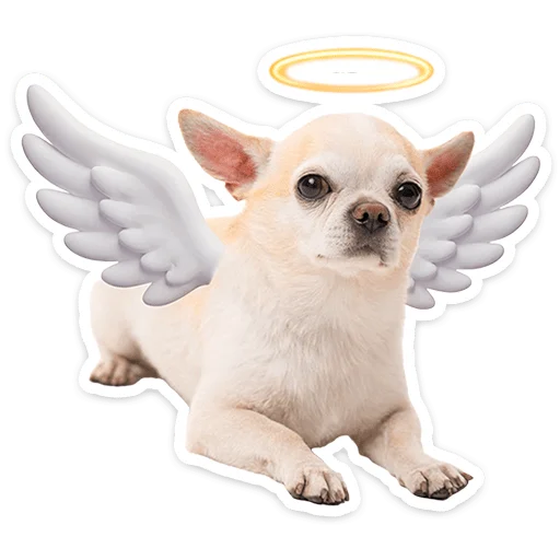 ⭐ Стикер «Пёсики» для Telegram