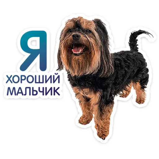 ⭐ Стикер «Пёсики» для Telegram