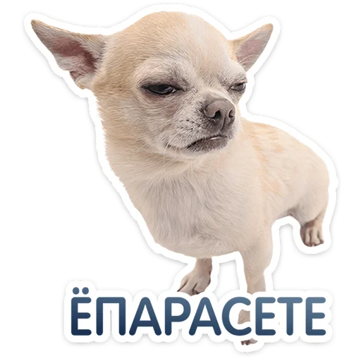 ⭐ Стикер «Пёсики» для Telegram