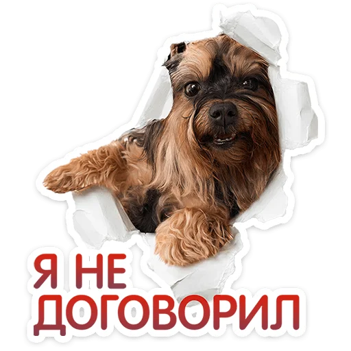 ⭐ Стикер «Пёсики» для Telegram