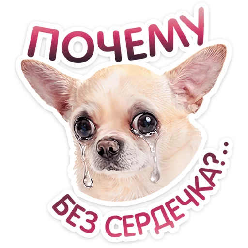 ⭐ Стикер «Пёсики» для Telegram