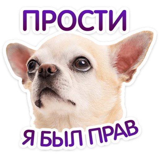 ⭐ Стикер «Пёсики» для Telegram