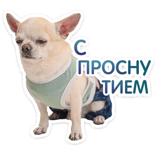⭐ Стикер «Пёсики» для Telegram
