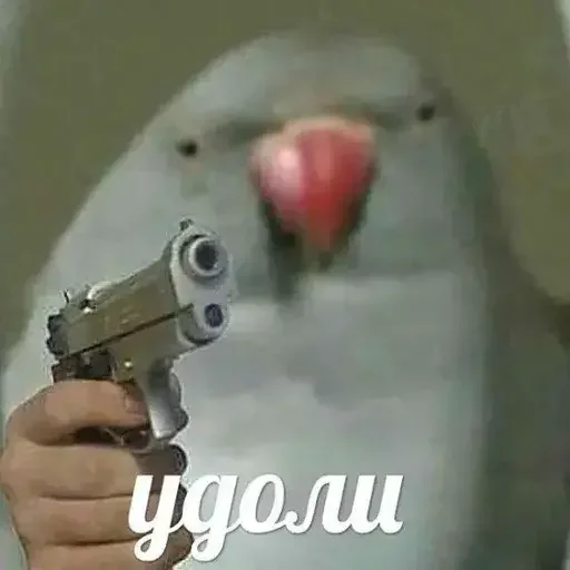 🔫 Стикер «PopugLife» для Telegram