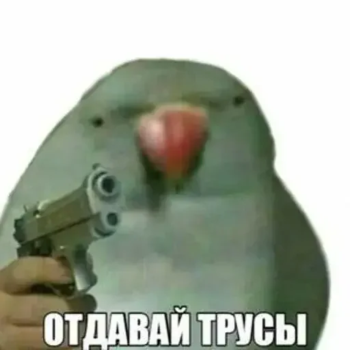 🩳 Стикер «PopugLife» для Telegram