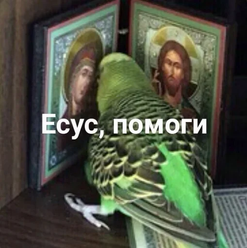 🤞 Стикер «PopugLife» для Telegram