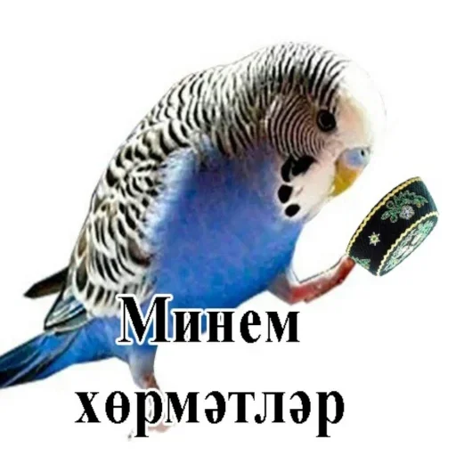 🤙 Стикер «PopugLife» для Telegram