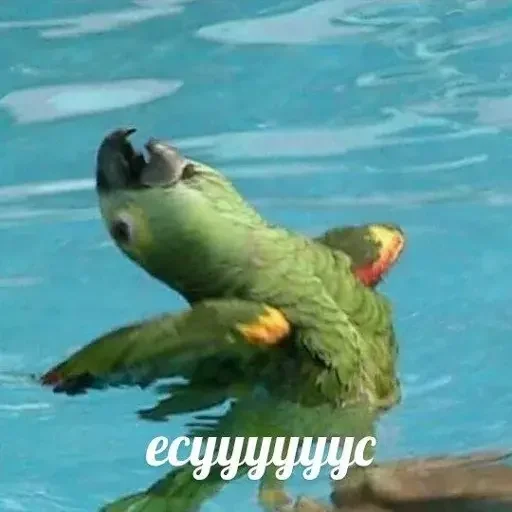 ✝️ Стикер «PopugLife» для Telegram