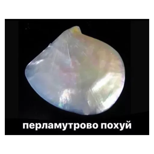 💚 Стикер «Random Рандом» для Telegram