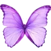 Стикер 35 Purple Decor From