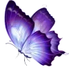 Стикер 8 Purple Decor From
